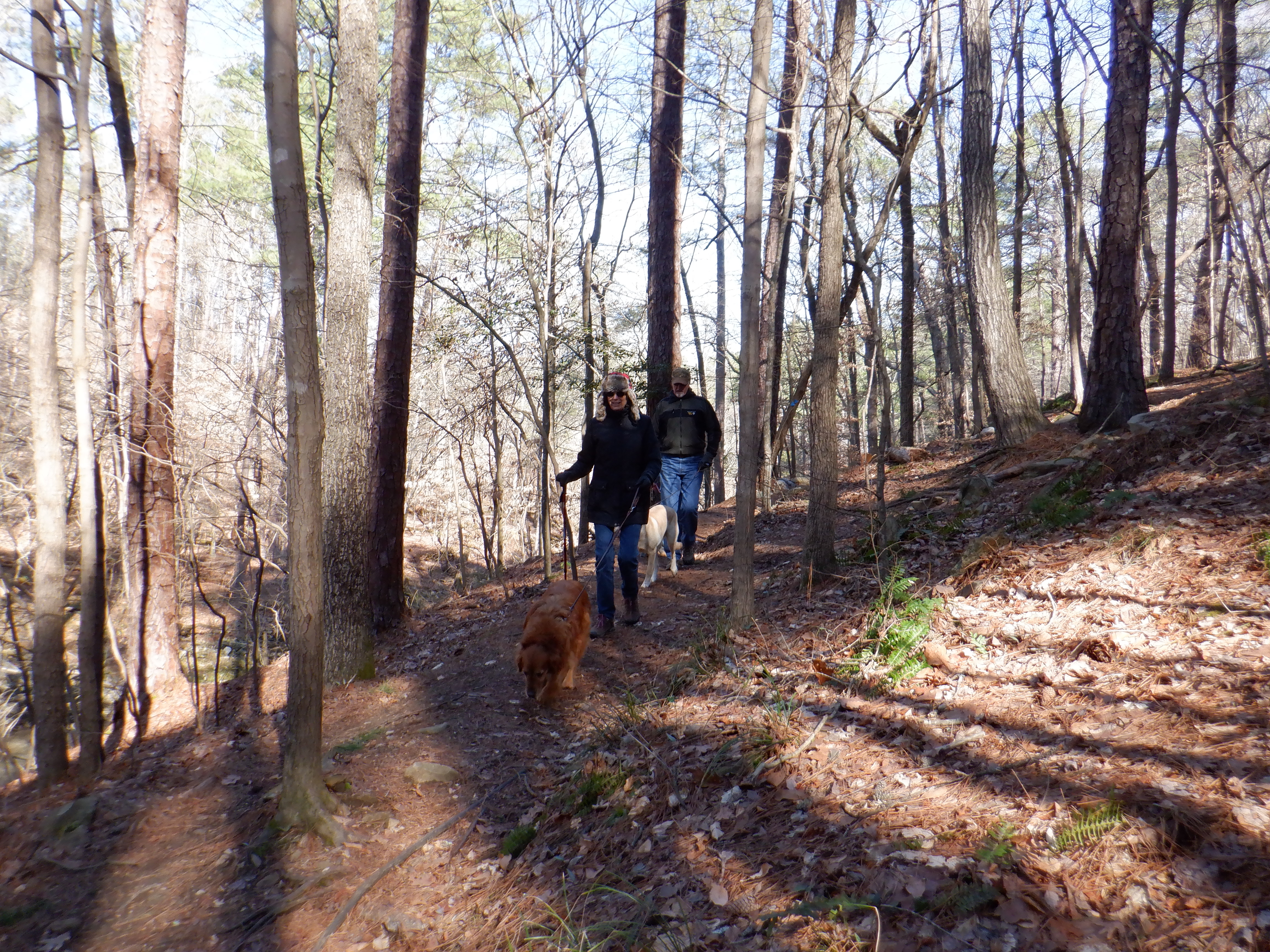 ./2020/01 - Find Larry/DSCF0804.JPG